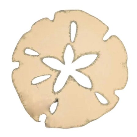 Vægdekoration Sand Dollar Vægdekoration, Træfarve S