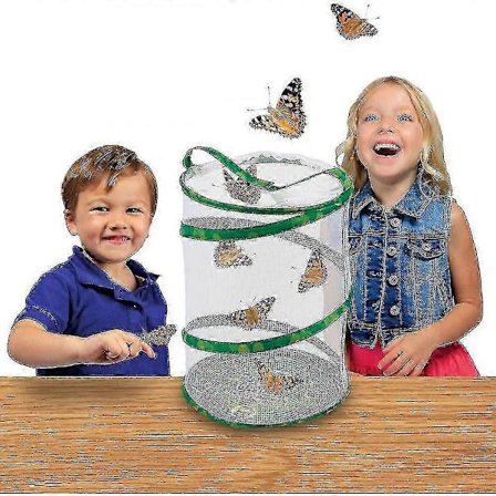 Fjärils- och larvhabitat, naturvetenskap och utbildning