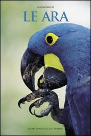 Le ara Gianni Ravazzi