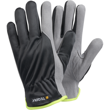 Montasjehanske Tegera 321