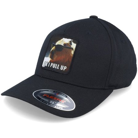 Iconic - Schwarz adjustable Cap - Ok I Pull Up Capybara Black A-frame Flexfit @ Hatstore
