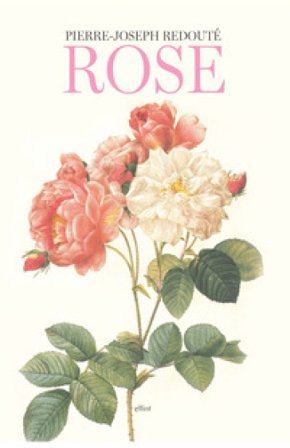 Rose. Ediz. a colori Pierre-Joseph Redouté