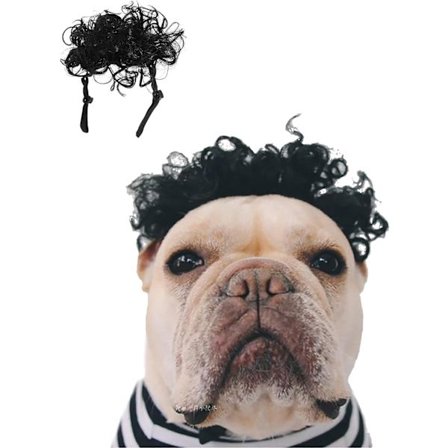 Hundekostymeparykk (Afro), liten mellomstor hund/katteparykk, kjæledyrkostyme, fotoseanse, parykker, søte hårtilbehør