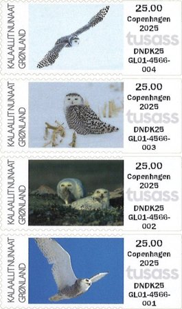 Grønland - Frankeringsmærker 2025: Sneugler København - CPH - Postfrisk sæt 4v