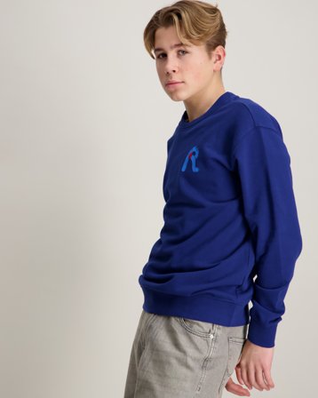 Replay Jumper Blå Trøjer Dreng - Kids Brand Store