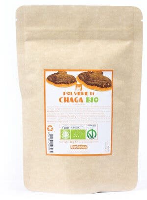 CHAGA POLVERE BIO 60G