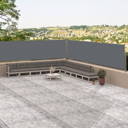 Vidaxl Infällbar Sidomarkis Antracit 117x1000 Cm Antracit