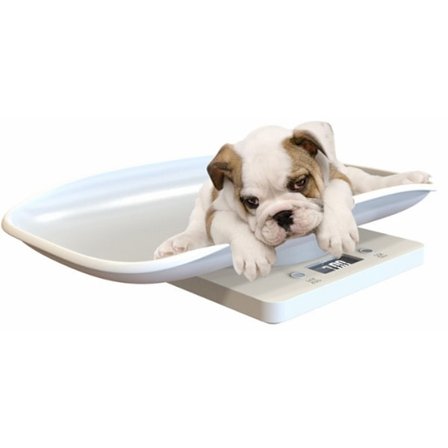 15 kg elektronisk vægt til små dyr, der vejer små katte og hunde