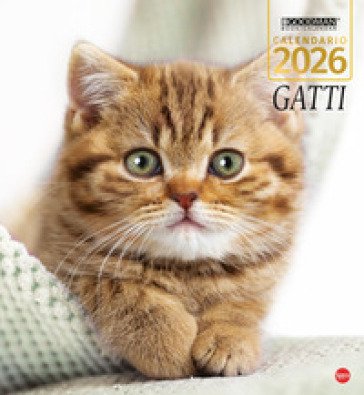 Gatti. Calendario 2026. Magnum
