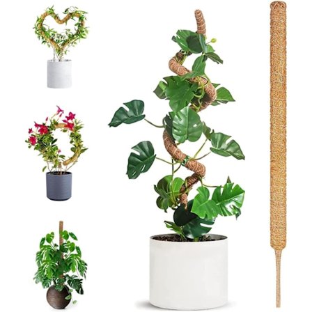 70 cm plantestøtter for innendørsplanter, mosepinne for Monstera-støtte, Sphagnum-mosepinner for bøyelig plantevekst