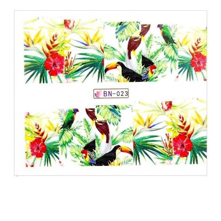 Vesitarrat - Jungle - BN-023 - Kynsille