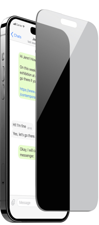 PURO iPhone 16 Plus Privacy Tempered Glass