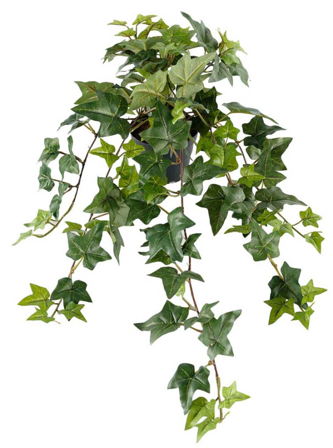 Mr Plant Kunstig Plante Eføy 60cm