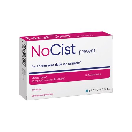 Nocist Prevent 24 Capsule
