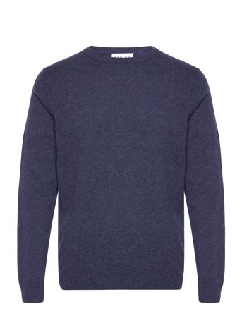 Man O-Neck Plain Navy Davida Cashmere