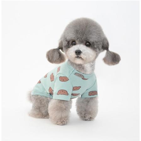 Kjæledyrsklær Valpeklær Katteklær Teddy Pomeranian Bichon Two Feet Apparel Green S