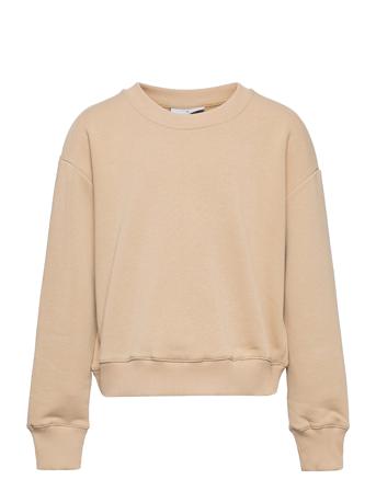 Our L Crew Sweat Sweat-shirt Tröja Beige Grunt