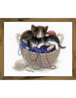 Bild Katzen mit Korb