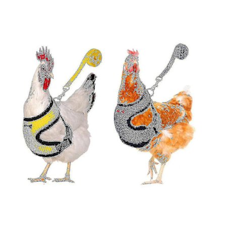 2 kpl Kanan valjaat ja hihna, muokattu säädettävä hengittävä valjaat erityisesti suunniteltu Chicke