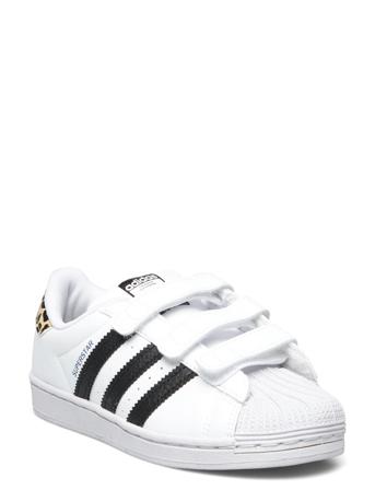 Superstar Cf C Matalavartiset Sneakerit Tennarit Monivärinen/Kuvioitu Adidas Originals