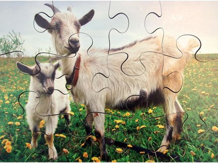 Pussel bondgårdsdjur 8 olika pussel - Lyreco - Skola och förskola - Lekmaterial - Pussel - Askpussel