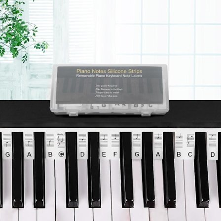 Pianonuotit Oppaaksi Aloittelijoille, Irrotettava Pianon Näppäimistön Nuottilaboratorio