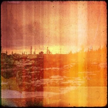 Collection ORIGAMIBIRO