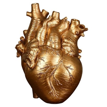 Pohjoismainen tyyli hartsi vaasi anatominen sydän vaasi työpöydän kasvi ruukku sisustukseen-E