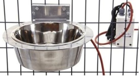 Jämpti Heatable Dog Drinking Cup Inside Shelter