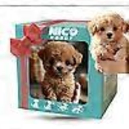 2025 Ny robot-hund for voksne, AI robot-hund, Nicoo - Min realistiske robotvalp som oppfører seg som en ekte valp - Går, bjeffer, logrer med halen A