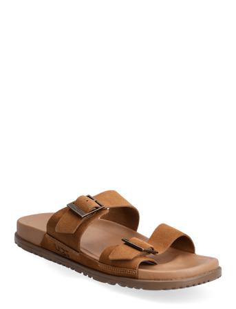 M Wainscott Buckle S Brown UGG