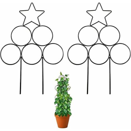 Kiipeilykasvien metallirunko Sisäkasvien teline Kasviteline Taottu rauta Kiipeilyruukun pidike Kukkateline 2 kpl (Pyöreä pentagrammi, musta)