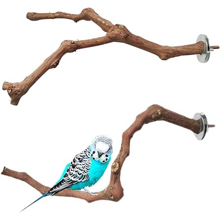 Trefugler i tre, papegøye trepinner, naturlig trepinne