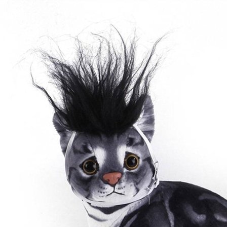 Halloween Pet Peruk Hatt Söt Dress Up Cap Pet Fun Headwear Cosplay Accessoarer för Cat Dog Black
