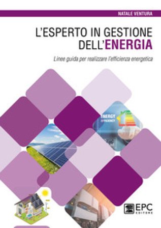L'esperto in gestione dell'energia. Linee guida per realizzare l'efficienza energetica Natale Ventura