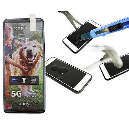 Härdat glas Sony Xperia 5 II (XQ-AS52)