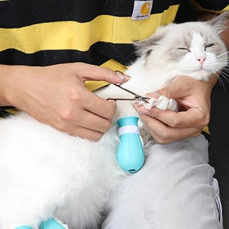 Silikone kæledyr kattefødder bløde dæksler anti-scratch klo sko støvler badning brusebad værktøj lys grøn