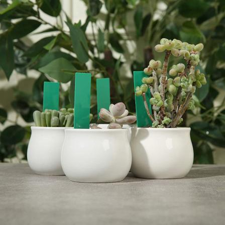 Vattentåliga Växtetiketter / Plantskyltar Med Hål Pvc 100-pack G
