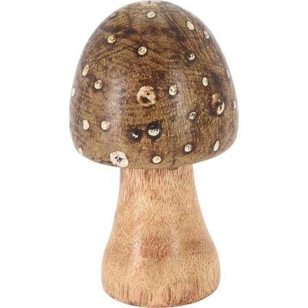 Svamp Gr n Brun Beige Dekoration Tr 7x10 cm Brown Brun Spetsig