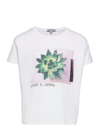 Misty Ss Tee White Costbart