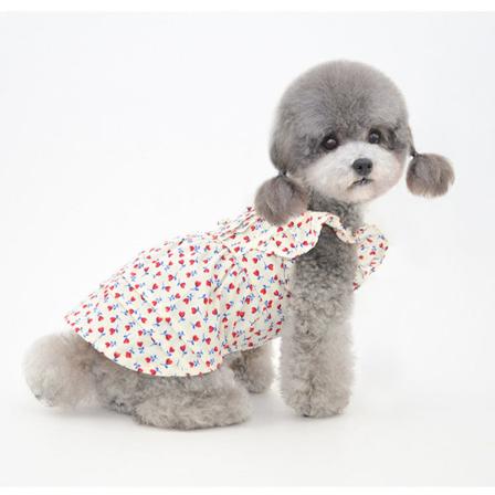 Kjæledyrsklær Vår Sommer Nytt blomsterskjørt Katt Pomeranian-klær Beige XL