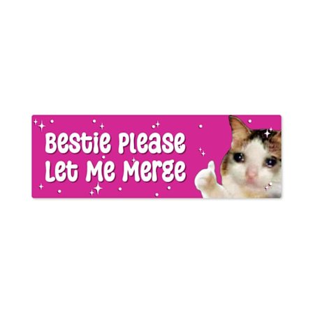 10 stk Nice Driver Car Sticker Selvklæbende Learner Driver