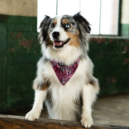 Urban Pup - Pink Leopard Print Bandana- Hundhalsband