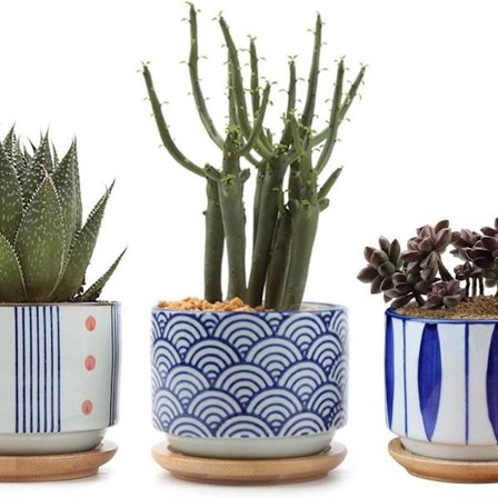 Suckulenta krukor med bambuskål - Set om 3 japanska cylindriska