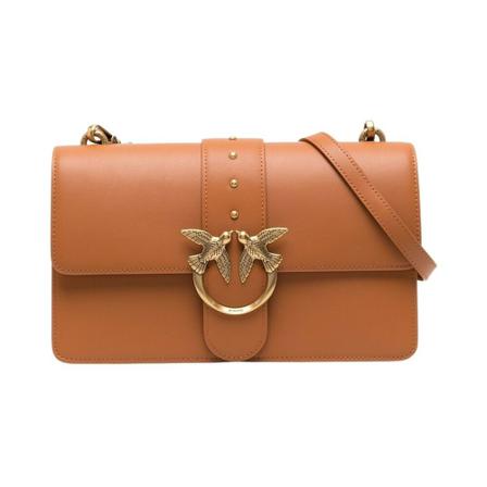 Pinko, Cross Body Bags Bruin, Dames, Maat:ONE Size