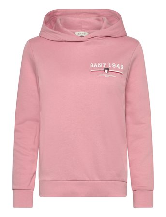 GANT Reg Graphic Hoodie - Pink - M