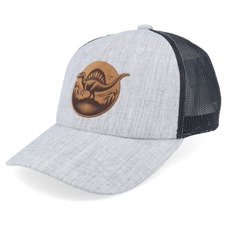 Kiddo Cap - Grau Trucker Cap - Kids Stegosaurus Patch Heather Grey/Black Trucker @ Hatstore