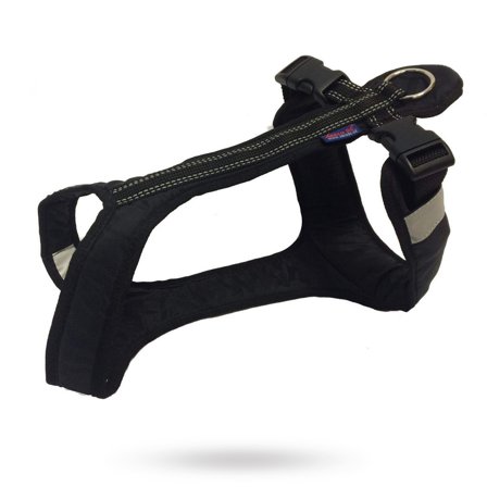 Zero DC - Zero DC Shorter Black