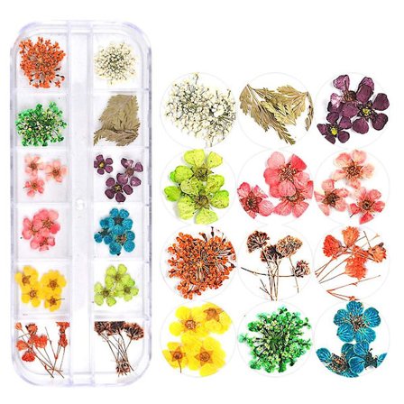 1 låda med nagelkonst klistermärken torkade blommor dekoration set nagel torkade blommor 3D riktiga torkade blommor stil 1
