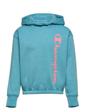 Hooded Sweatshirt Hoodie Trøje Blå Champion